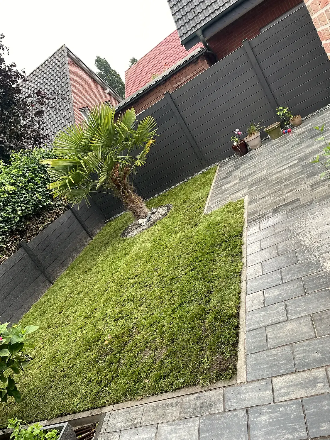 Gepflasterte Gartenfläche mit Raseninsel und Palme im Sonnenlicht
