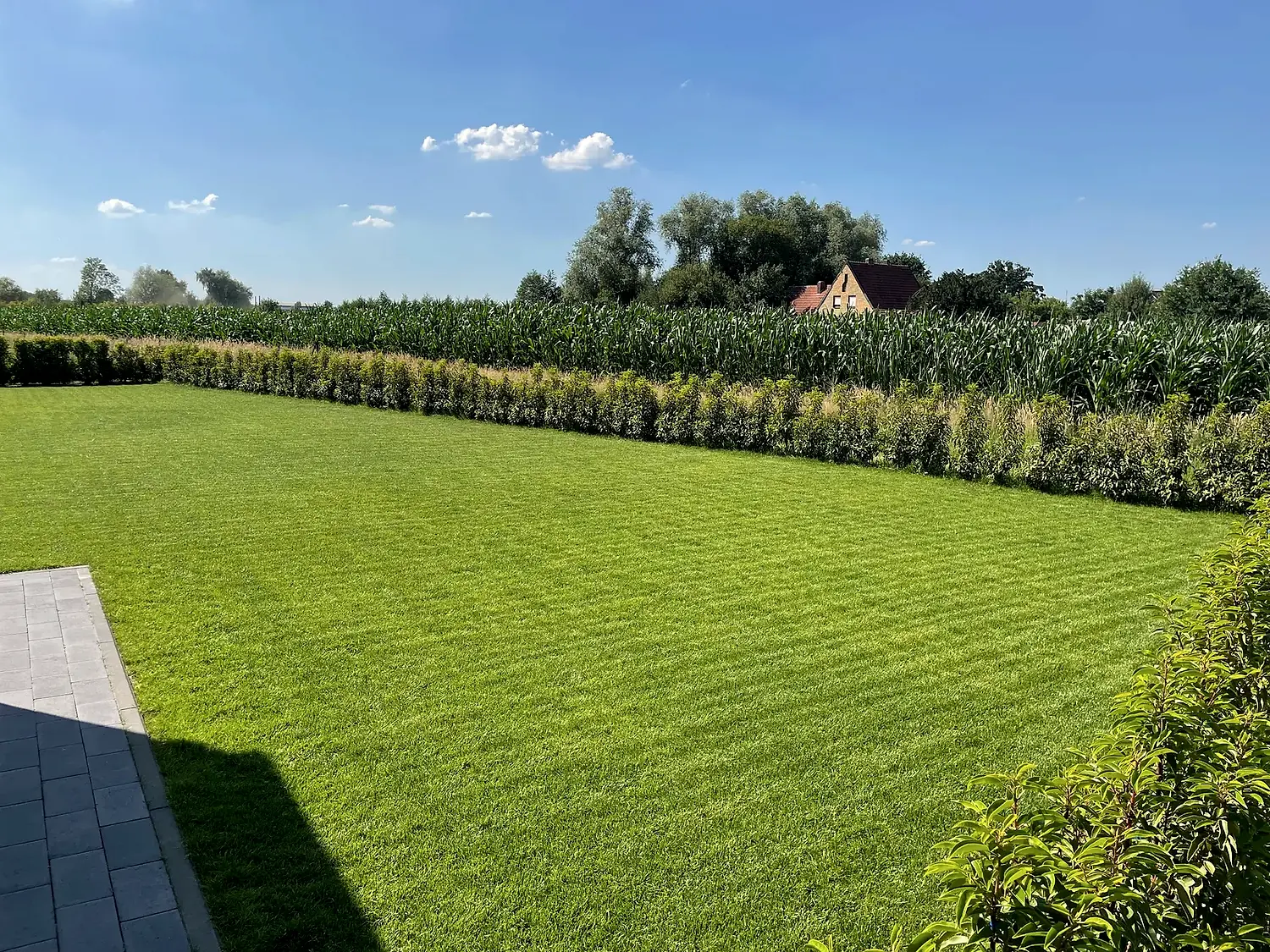 Weitläufiger, frisch gemähter Rasen mit Hecke und Blick ins Feld