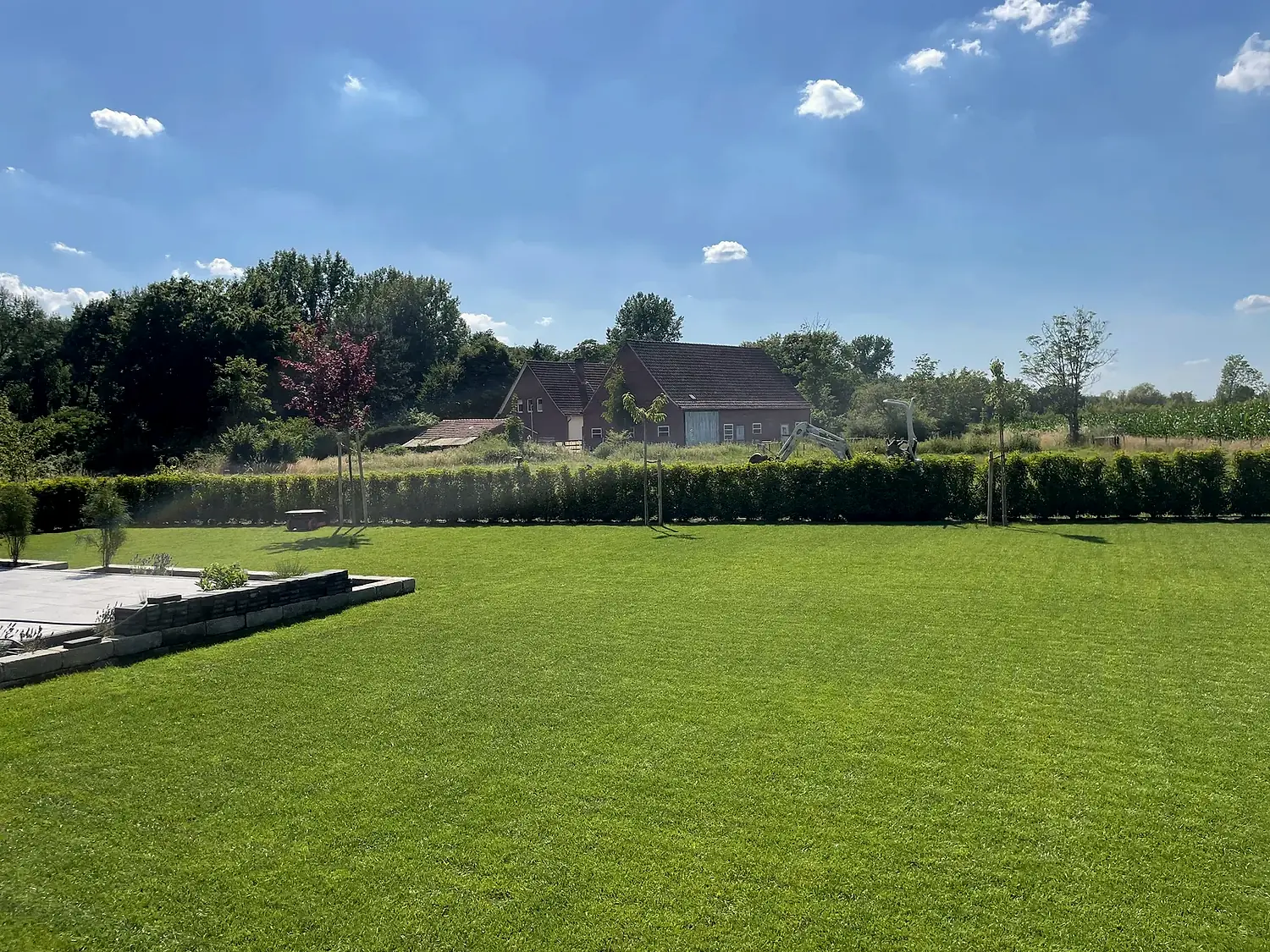 Großzügige Rasenfläche mit Hecke unter blauem Himmel